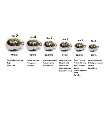 Clochette dorée Lahore - Medium