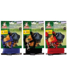 Bittu Harnais et laisse pour cobayes