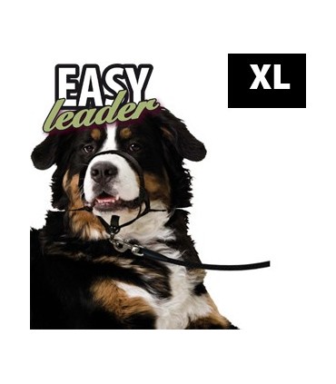 Easy leader taille 5 noir