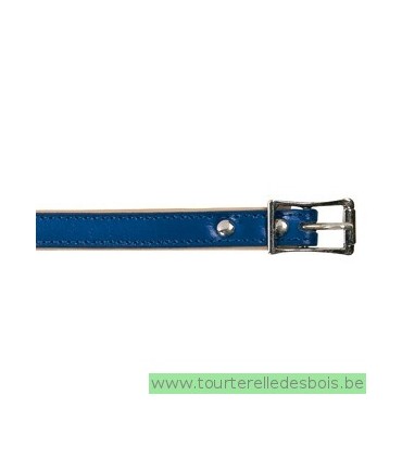 Collier cuir bleu 45 cm/16mm