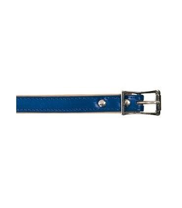 Collier cuir bleu 45 cm/16mm