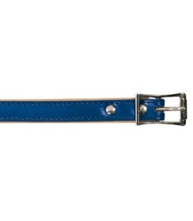 Collier cuir bleu 40 cm/16mm