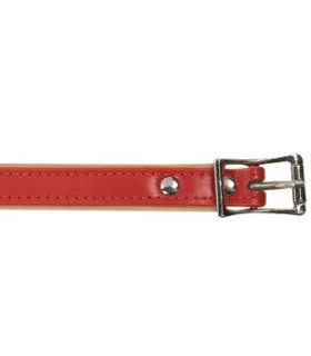 Collier cuir rouge 40 cm/16mm