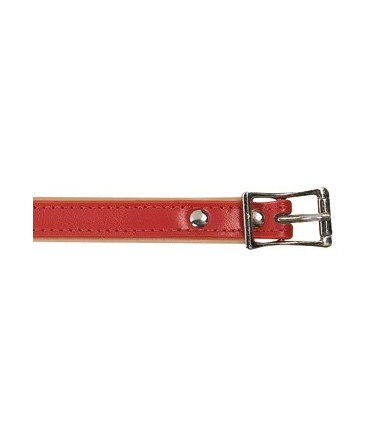 Collier cuir rouge 40 cm/16mm