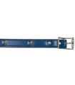 COLLIER CUIR BLEU OS ARGENTÉ 35 CM/20MM