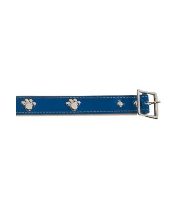 Collier cuir bleu patte argenté 35 cm/20mm