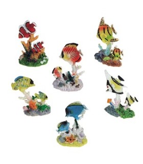 Décoration amphiprions avec petit