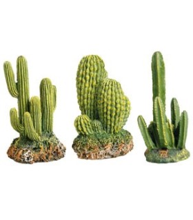 Décoration cactus