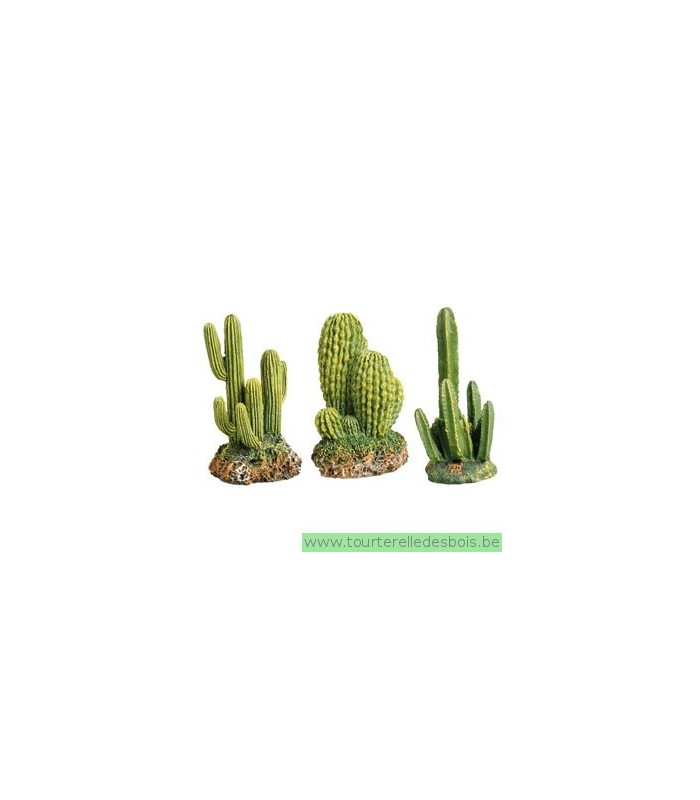 Décoration cactus