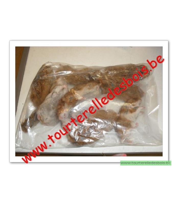 CONGELE - Hamster 1 Kg