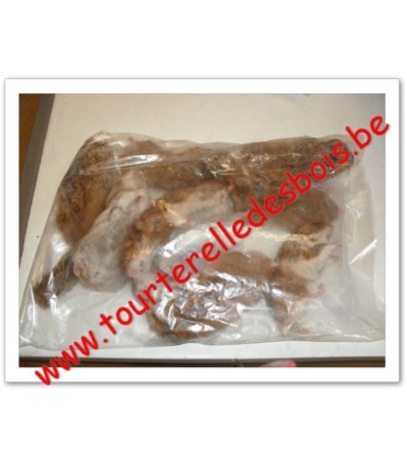 CONGELE - Hamster 1 Kg