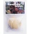 ZM TARANTULA SPONGE + HERMIT CRAB  [TS-10]