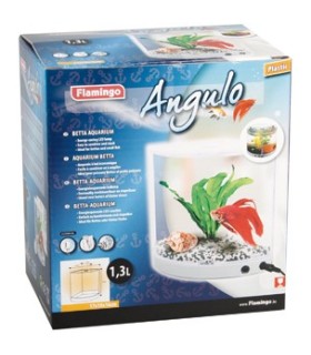 Aquarium betta angulo - 1.3 Litre