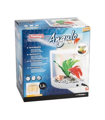 Aquarium betta angulo - 1.3 Litre