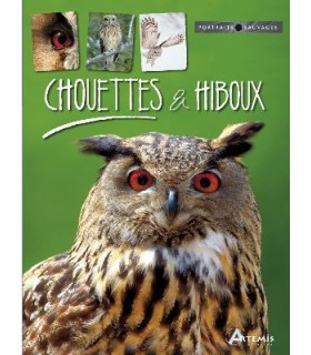Chouettes et Hiboux