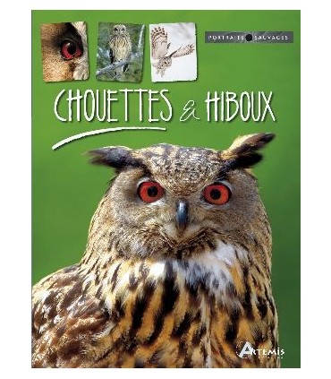 Chouettes et Hiboux