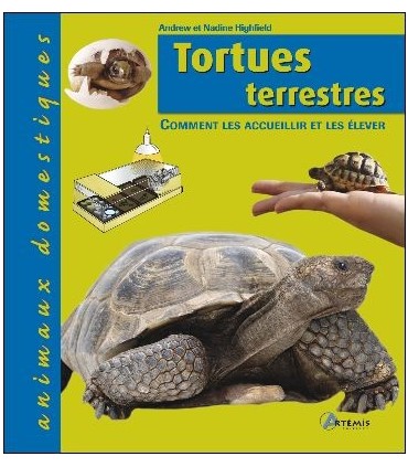 Tortues terrestres