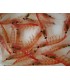 CONGELE- Krill du pacifique