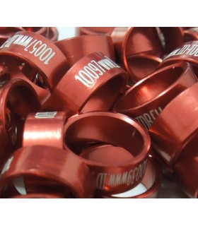 BAGUE FERMÉE RAPACE - 10 -  IDENT. INTERNATIONALE N°  UNIQUE