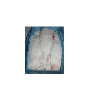 CONGELE Lapin avec entrailles au kg