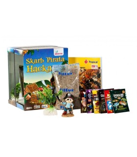 DIVERSA AQUARIUM PIRATE COMPLET 20X20X25CM - 10 LITRES