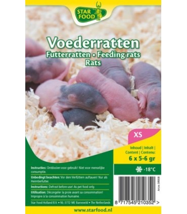 CONGELE - RAT BÉBÉ -XS - BLISTER 7 X 5-6 GRS