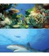 TETRA DECO ART POSTER REQUIN & CORAIL