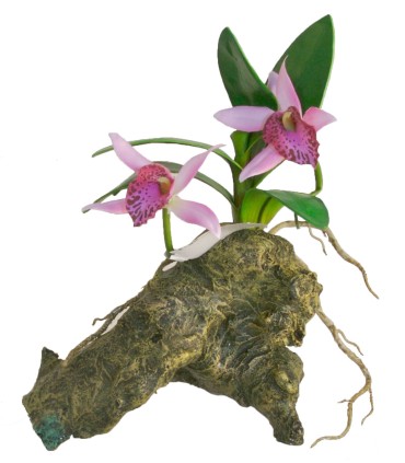 ZM Orchid with rock base 30 cm  [BU-48E]