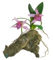 ZM ORCHID WITH ROCK BASE 30 CM  [BU-48E]