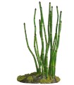 ZM HORSETAIL 23 CM  [BU-51E]