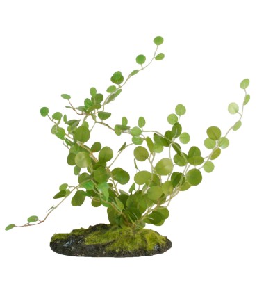 ZM Button fern 20 cm  [BU-49E]