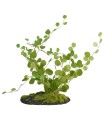 ZM BUTTON FERN 20 CM  [BU-49E]