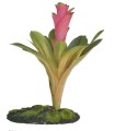 ZM BROMELIAD 20 CM  [BU-44E]