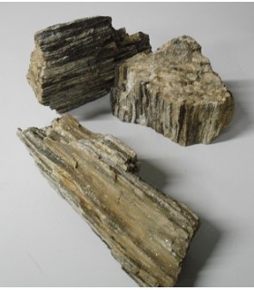 BOIS PÉTRIFIÉ EN TOTEM - KG