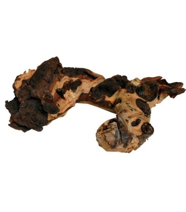 BOIS MOPANI LARGE - 1KG