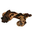 ***BOIS MOPANI LARGE - 1KG