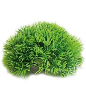 DEMI BALLE DE MOUSSE 12CM POUR CREVETTES