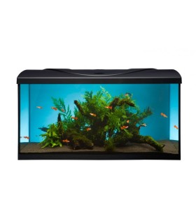 STARTUP 80 SET AQUARIUM 80X35X40CM - 112 LITRES