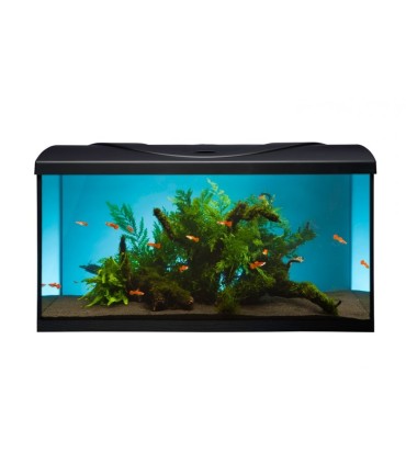 STARTUP 80 SET AQUARIUM 80X35X40CM - 112 LITRES