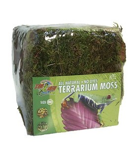 ZM Terrarium moss  [CF2-MBE]