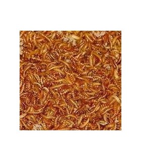 VERS BUFFALO - VRAC - 2 LITRES