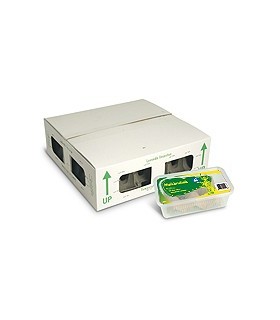 GRILLONS NOIRS - VRAC - T7 - ADULTE - 300 P