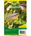 CONGELE- DAPHNIES - 100GRS