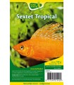 CONGELE- QUINTET TROPICAL - 100GRS