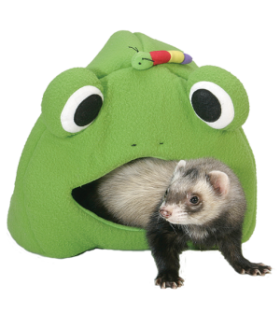 JOUET FURET - GRENOUILLE LODGE