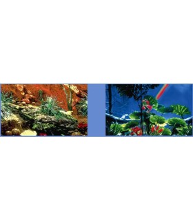 Décor forêt tropicale/cactus 50 CM