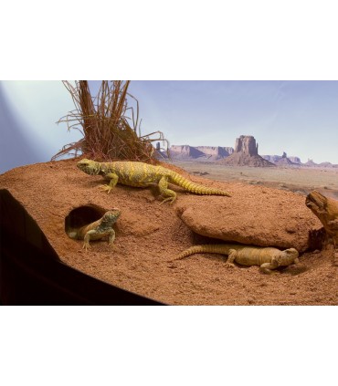 ZM Excavator 2.25 Kg  [XR-05E]