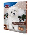 XMAS CALENDRIER DE L&#039; AVENT POUR CHIEN