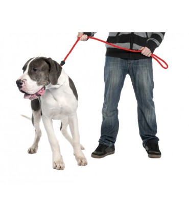 LAISSE / COLLIER ÉTRANGLEUR NYLON ROUGE  - 183CM X 10MM
