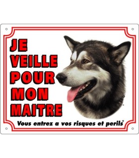 Panneau pvc Alaskan malamute